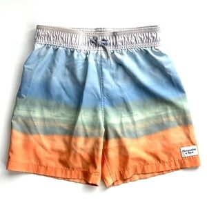 Abercrombie & Fitch Blue and Orange Swim Shorts